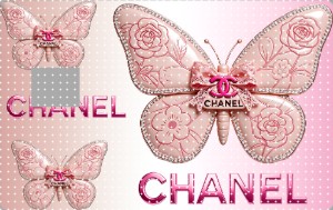 credit card- 238